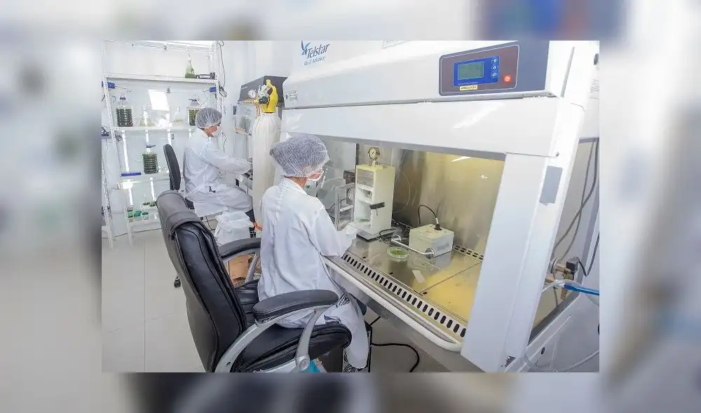 UCP - Covid 19 (Foto:Difusión) UCP - Covid 19 (Foto:Difusión)