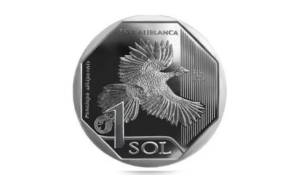 BCR pone en circulación nueva moneda de S/ 1, alusiva a la pava aliblanca [FOTOS]