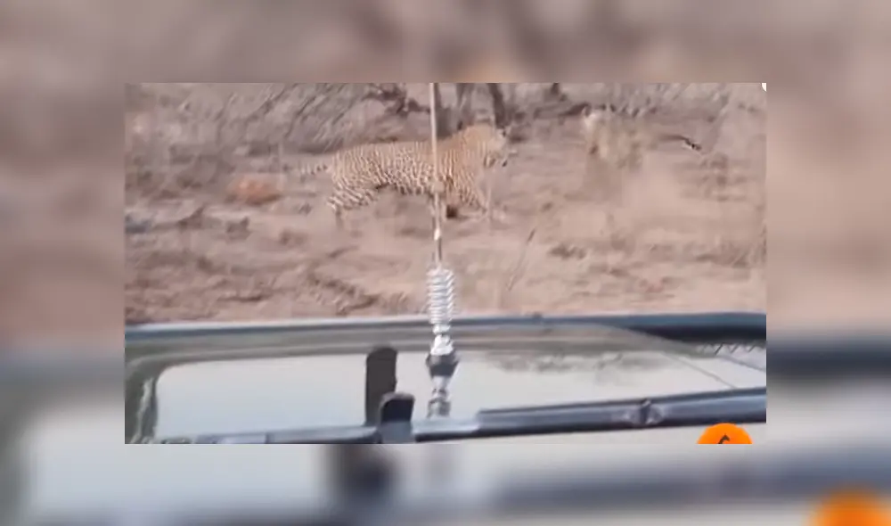 Desliza para ver los detalles del video viral de YouTube. Foto: Captura.