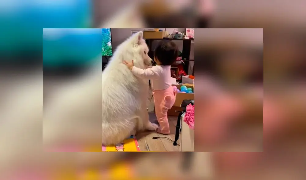 Desliza las imágenes para ver la emotiva escena que registró una madre entre su bebé y su mascota. Foto: Viral Press