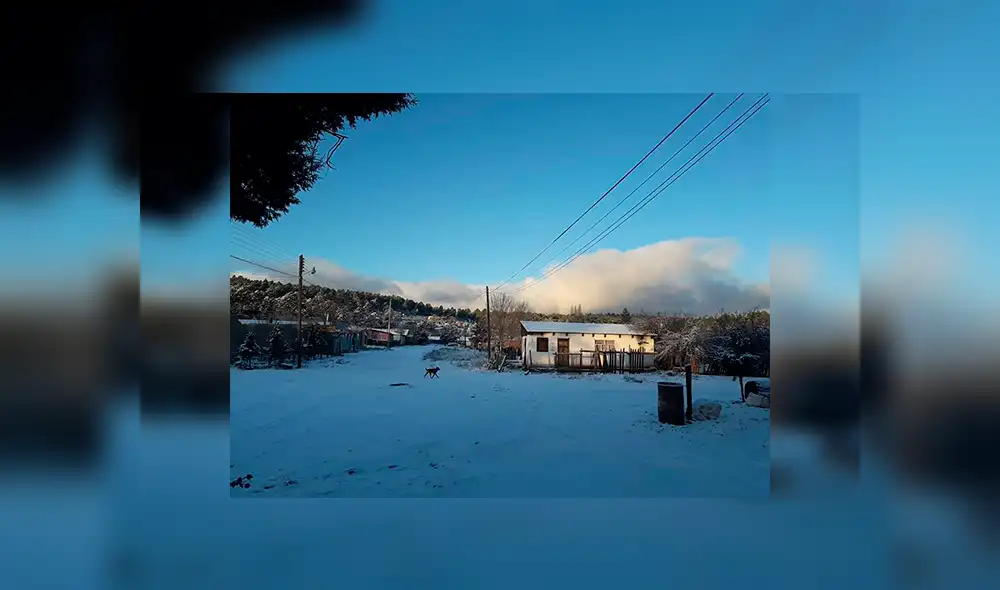 La primera nevada de la temporada pone de blanco el norte de México [FOTOS y VIDEO]
