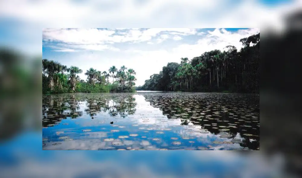 Se aprobó por unanimidad la Ley Marco de Cambio Climático 