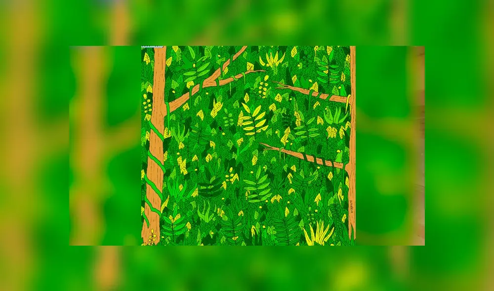 Desliza las imágenes para ver el lugar exacto en el que esta serpiente se encuentra oculta. Foto: dudolf.com Desliza las imágenes para ver el lugar exacto en el que esta serpiente se encuentra oculta. Foto: dudolf.com