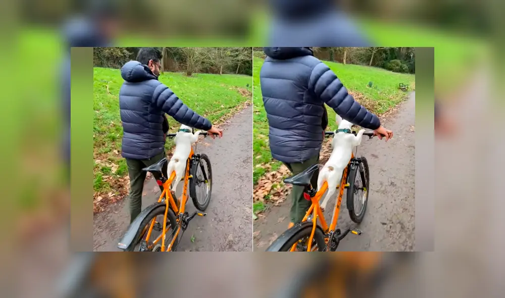 Desliza las imágenes para ver la tierna escena entre un hombre y un pequeño perro. Foto: Captura/Viral Hog