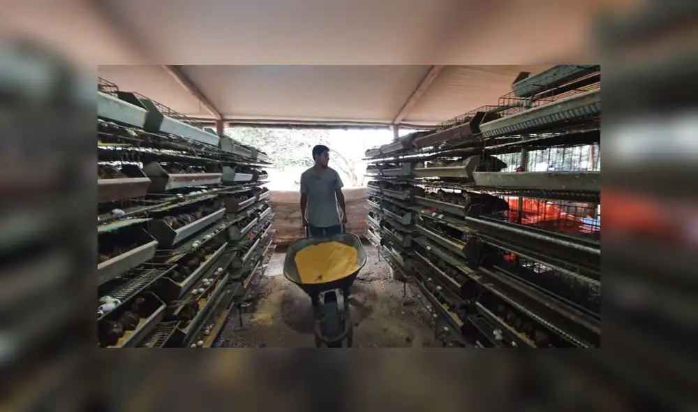 Gracias al apoyo de varias personas y de alcaldes, Richard Huaraca continuará con su negocio. (Foto: GLR - URPI) Gracias al apoyo de varias personas y de alcaldes, Richard Huaraca continuará con su negocio. (Foto: GLR - URPI)