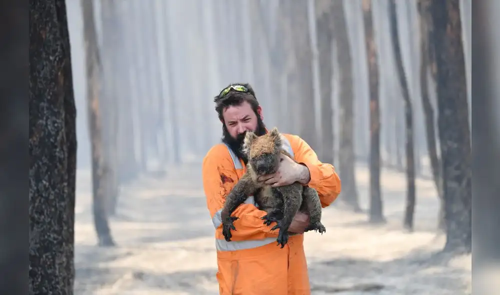 Los humos emitidos se detectaron hasta Argentina y Brasil, a más de 12.000 km del otro lado del Pacífico, según las agencias meteorológicas de estos países. Foto: AFP. Los humos emitidos se detectaron hasta Argentina y Brasil, a más de 12.000 km del otro lado del Pacífico, según las agencias meteorológicas de estos países. Foto: AFP.