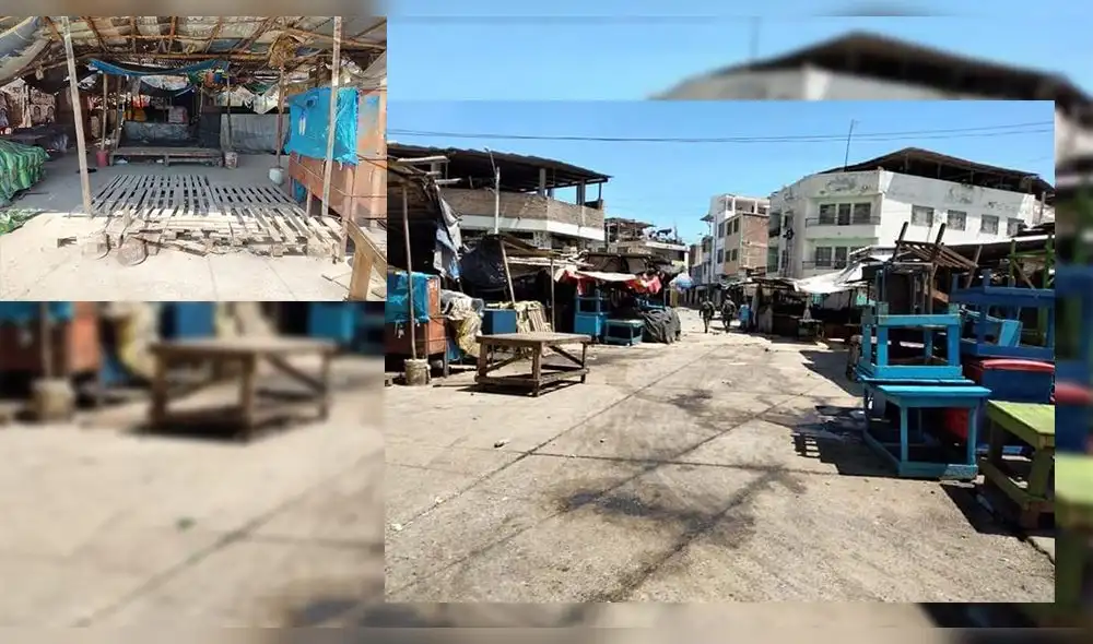 coronavirus coronavirus