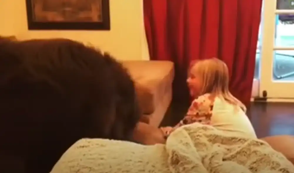 Desliza hacia la izquierda para ver las imágenes del video viral. Foto: Captura de YouTube Desliza hacia la izquierda para ver las imágenes del video viral. Foto: Captura de YouTube