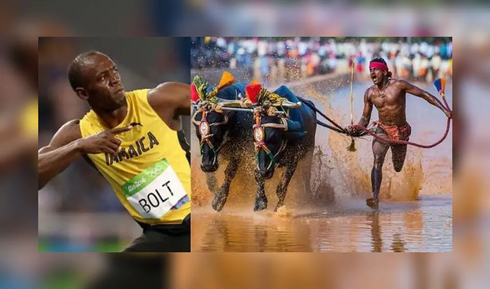 Srinivas Gowda rompió un récord en una tradicional carrera de búfalos en la India. Foto: AFP.