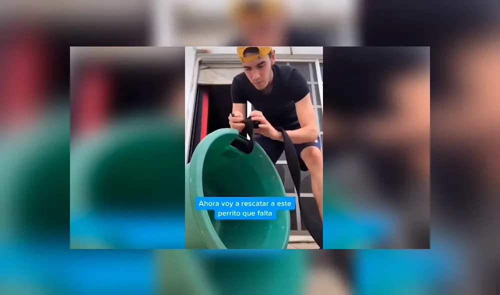 Desliza las imágenes hacia la izquierda para observar la noble acción de un joven para ayudar a unos indefensos perros. Desliza las imágenes hacia la izquierda para observar la noble acción de un joven para ayudar a unos indefensos perros.