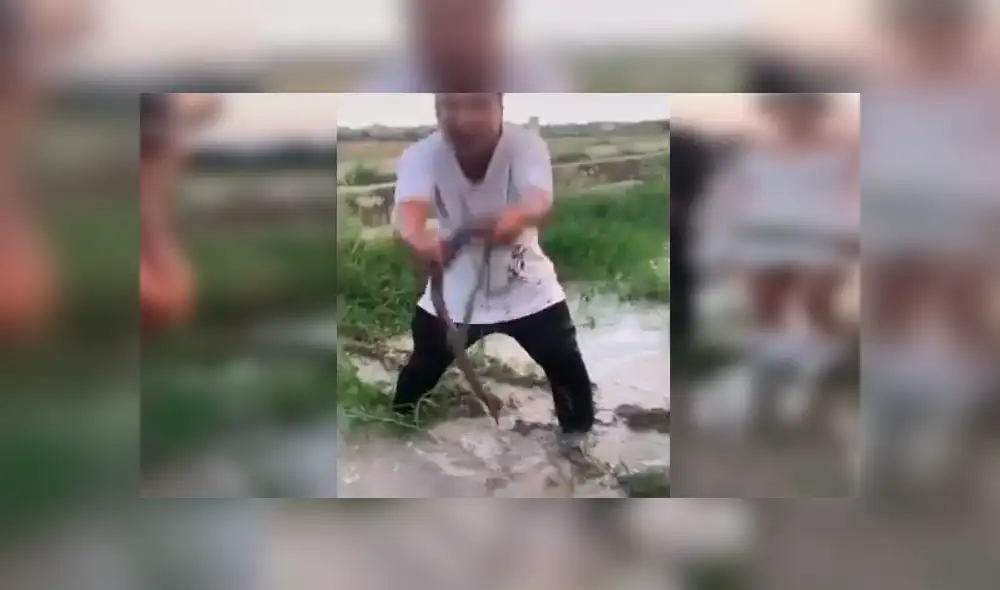 'Misteriosa criatura' arruina fotos de recién casado y el video se hace viral en las redes sociales.