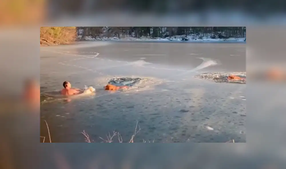 Facebook: valiente hombre y su mascota rescatan a dos perros atrapados en lago congelado [VIDEO]