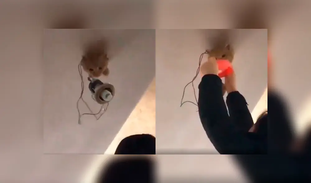 Desliza a la izquierda para ver esta particular sorpresa. Foto: Captura.