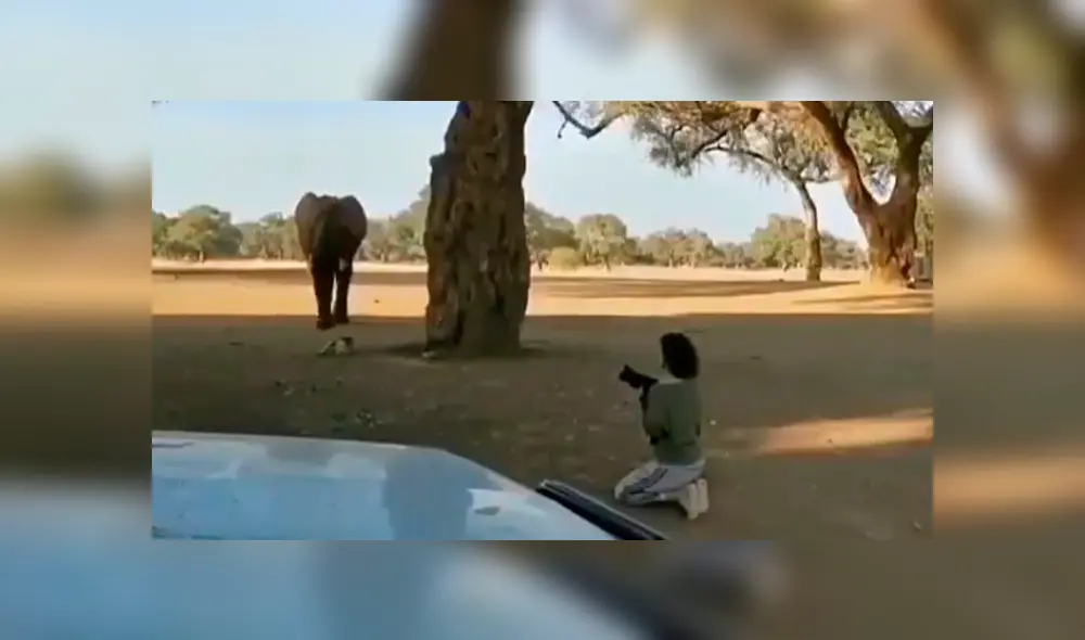 Facebook viral: enorme elefante tropieza con mujer y hace lo impensado para sacarla de su camino [VIDEO]