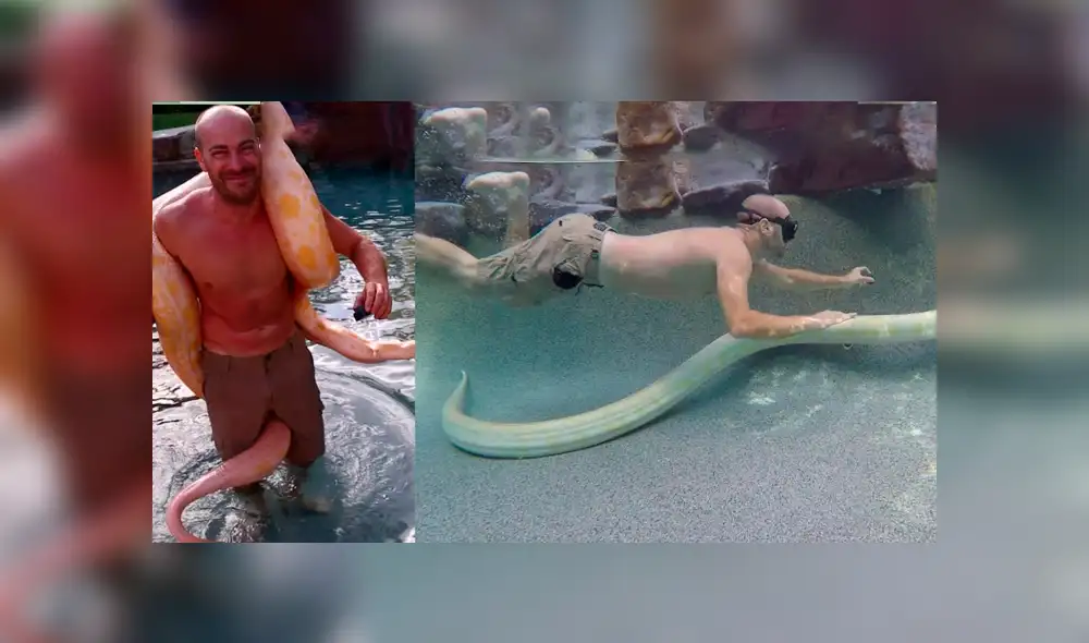 YouTube viral: arriesgado hombre se zambulle con enorme serpiente dentro de piscina [VIDEO]