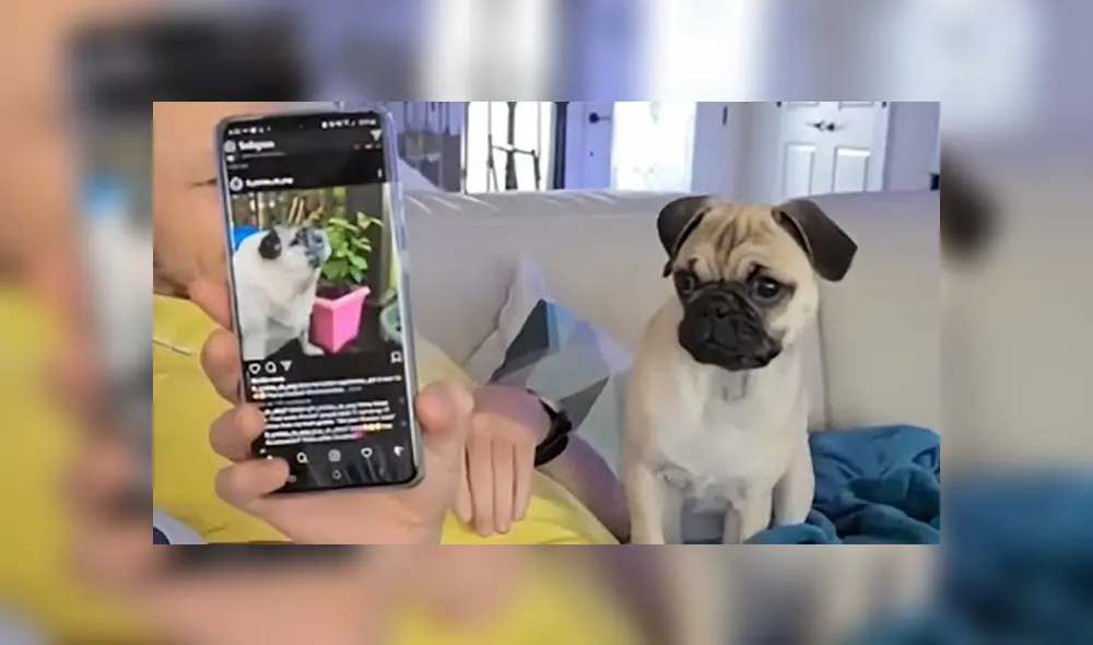 Desliza hacia la izquierda para ver las imágenes del viral de Facebook. Foto: Captura.