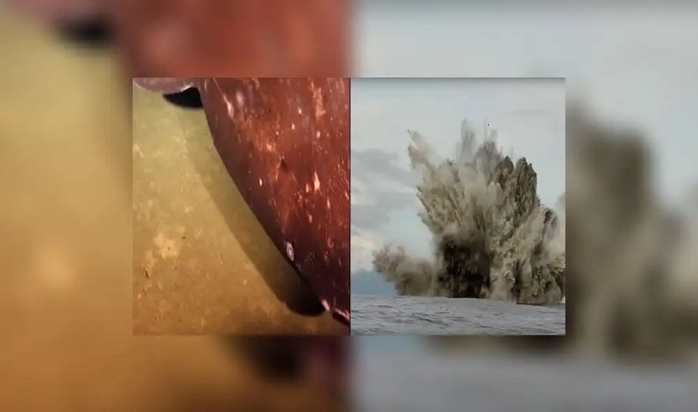 YouTube: misteriosa criatura de siete metros de largo vive en volcanes submarinos