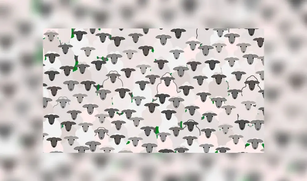 Desliza las imágenes para ver la ubicación de la traviesa cabra que se escondió entre un rebaño de ovejas. Foto: Facebook