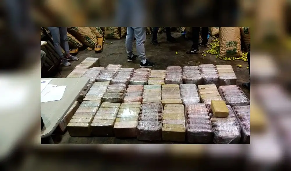 Incautan droga en sacos de limones. Créditos: Difusión.