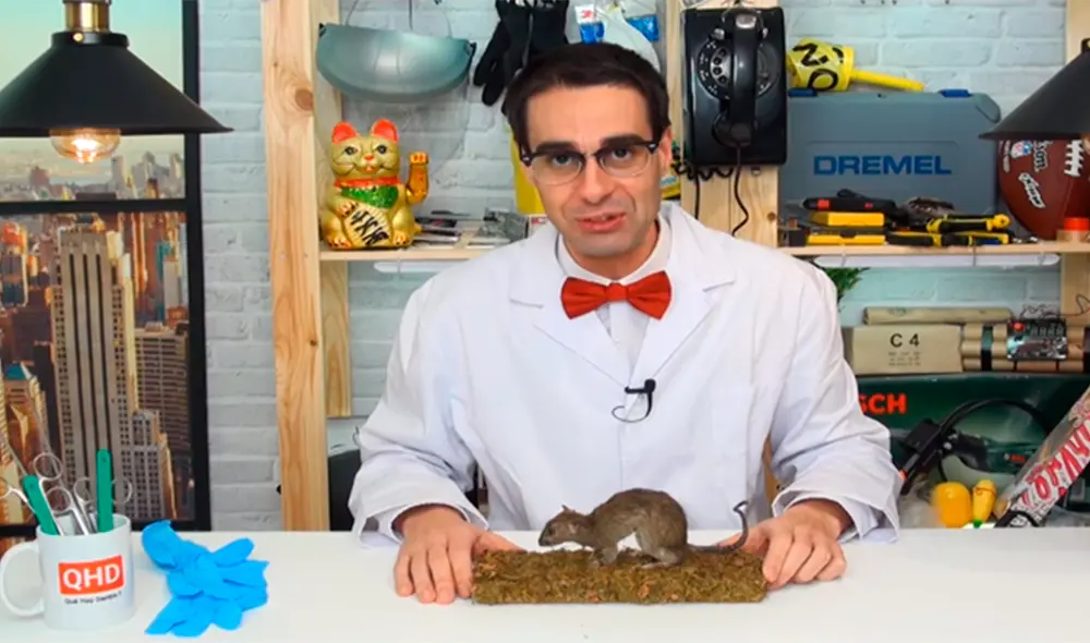 El youtuber del canal 'Curiosidades con Mike' examinó por dentro a una rata disecada. El youtuber del canal 'Curiosidades con Mike' examinó por dentro a una rata disecada.