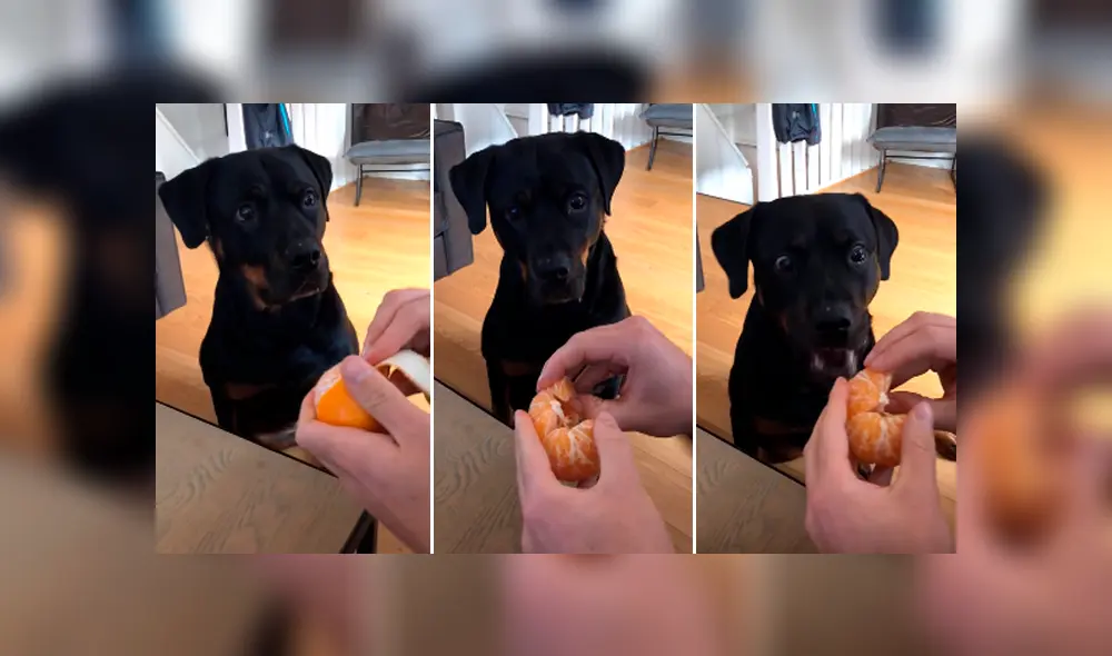 Desliza para ver los momentos más hilarantes del video viral de YouTube.