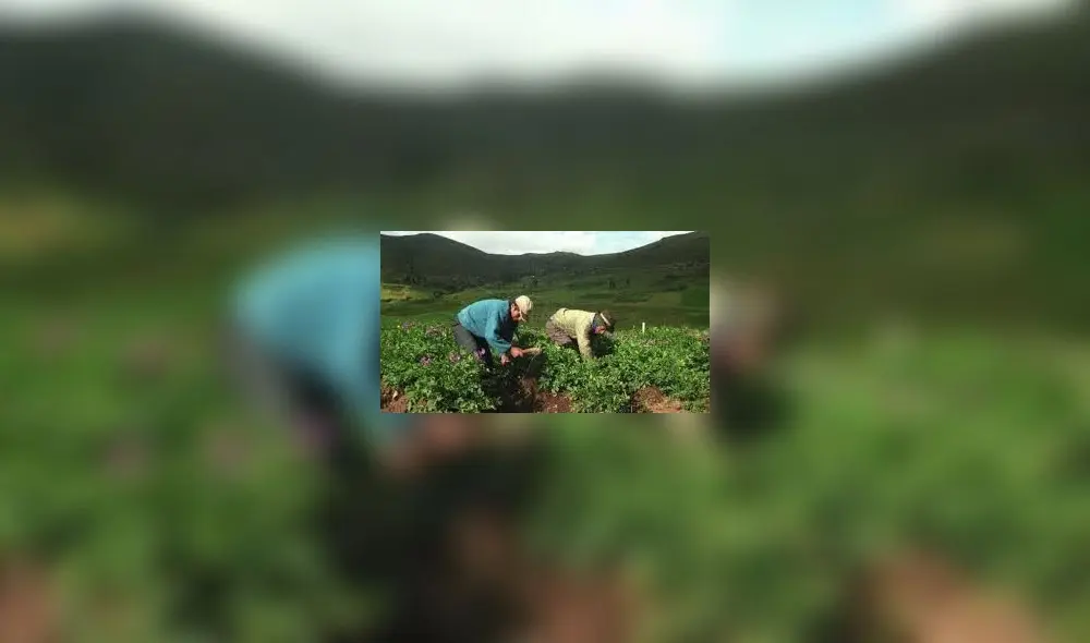 Predios rurales. Foto: Internet