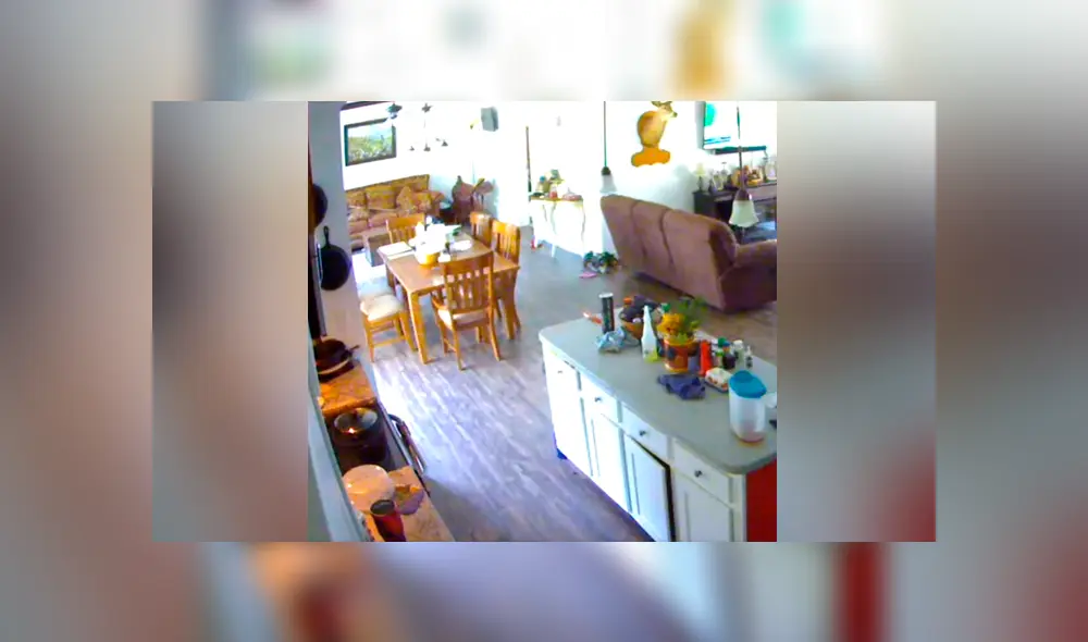 Un video viral muestra el momento en el que un hombre descubre quién movía las cosas dentro de su hogar mientras estaba ausente.