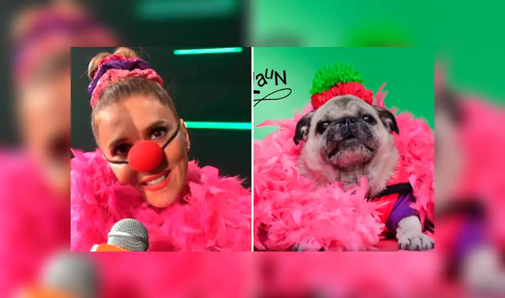 Mascota de Queca es fotografiada vestida de Queca. Foto: Sandra Rodríguez/Composición