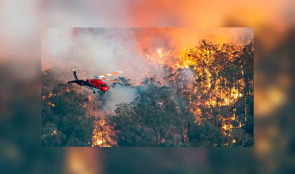 Incendios en Australia mataron al menos a 30 personas y a millones de animales. Foto: Difusión Incendios en Australia mataron al menos a 30 personas y a millones de animales. Foto: Difusión
