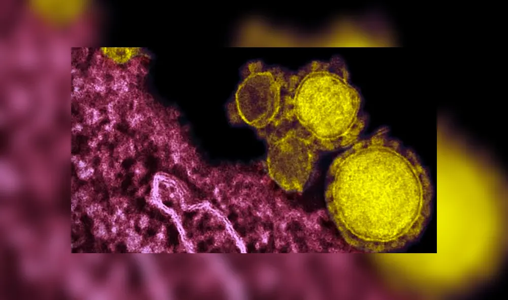 Víctimas mortales por coronavirus de Wuhan ya asciende a 106, según China. Foto: Andina