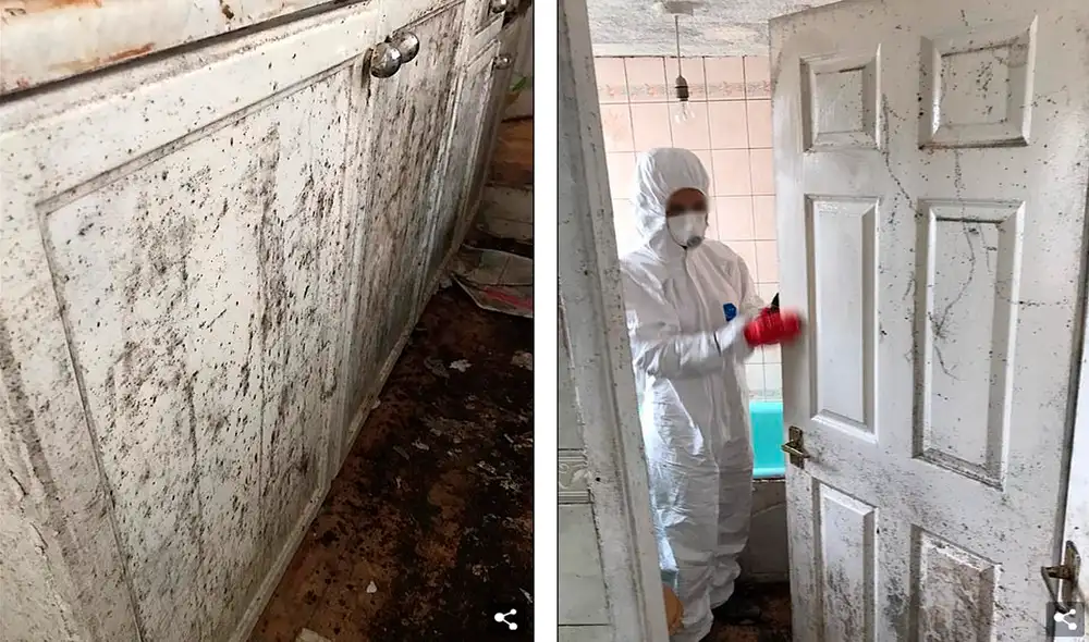 Inglaterra - vivienda - Facebook - viral Inglaterra - vivienda - Facebook - viral