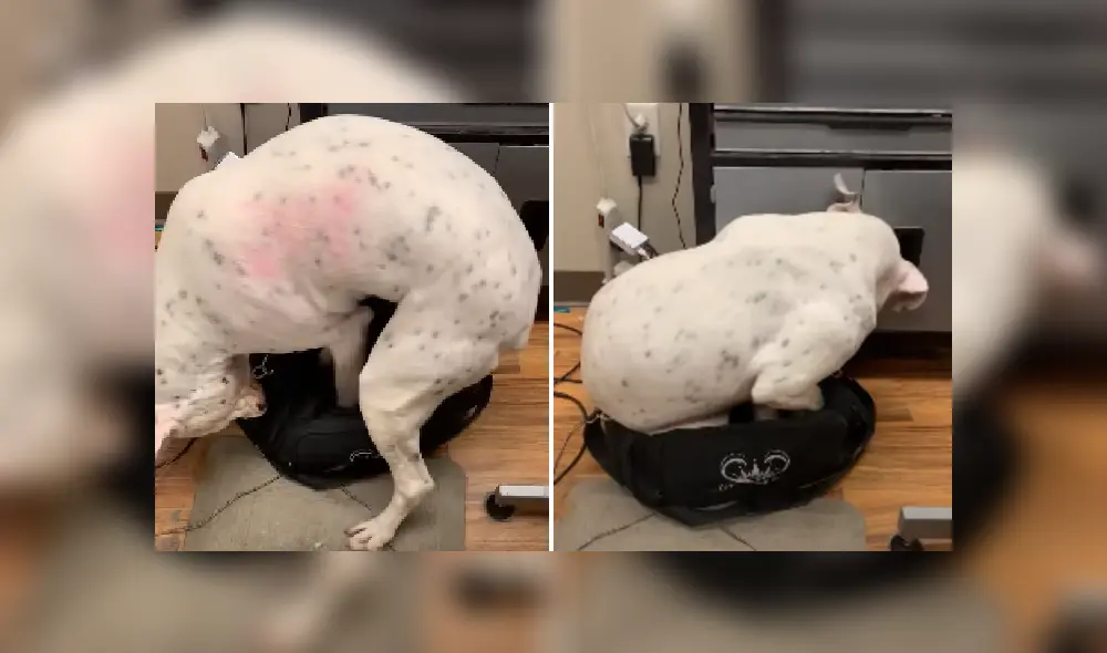 Desliza las imágenes para ver más detalles sobre esta escena que es viral en Facebook.