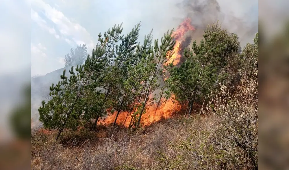 Áncash: cuatro incendios forestales aún continúan activos