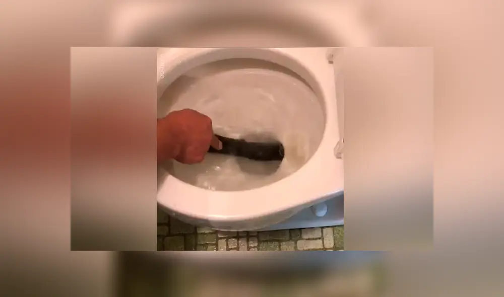 Desliza para ver los momentos más importantes del video que se hizo viral en YouTube.