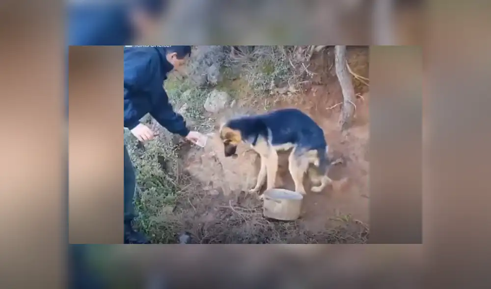 Desliza hacia la izquierda para ver las imágenes del viral de Facebook. Foto: Captura.