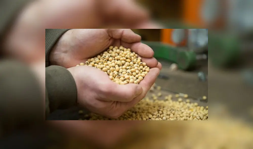 Guerra comercial. Guerra comercial.