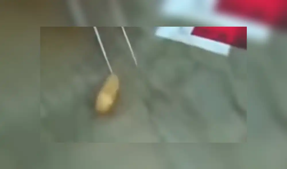 Facebook viral: misteriosas criaturas vivían dentro de la espalda de un joven sin que él lo sepa [VIDEO]