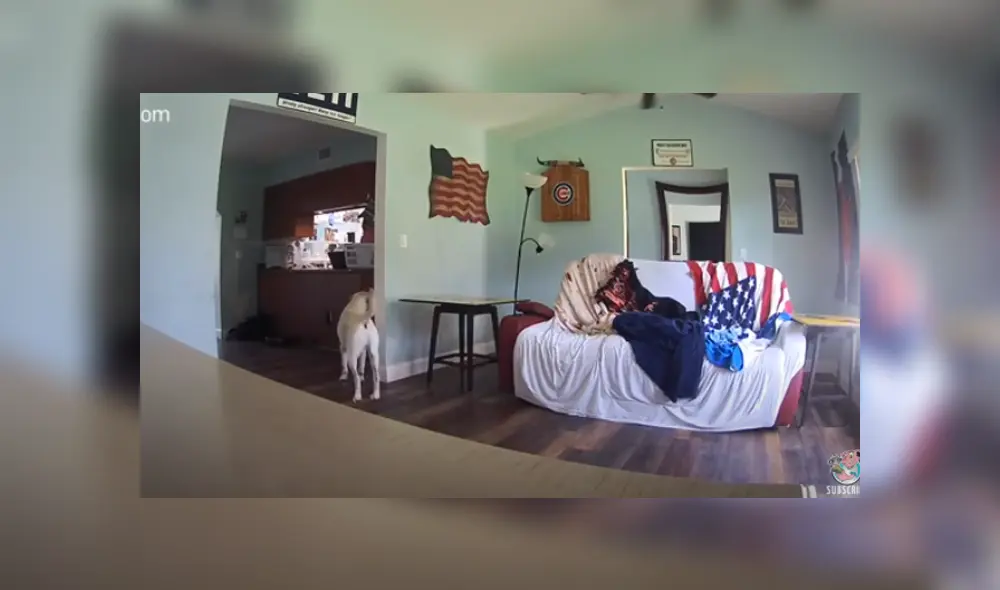 Desliza hacia la izquierda para ver las imágenes del viral de YouTube. Foto: Captura.