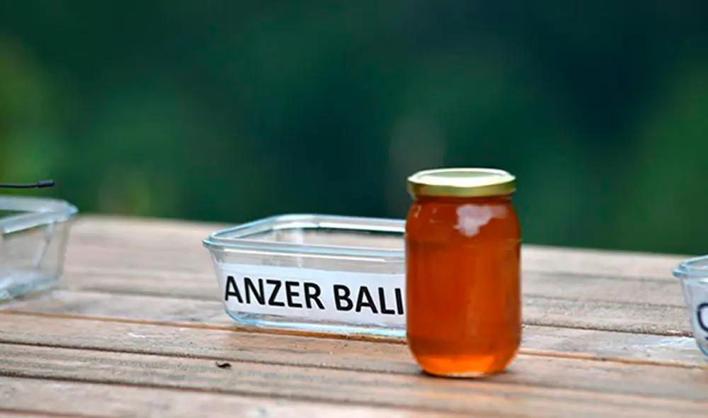 Descubre que osos le robaban su miel y decide ‘contratarlos’ como catadores [VIDEO]