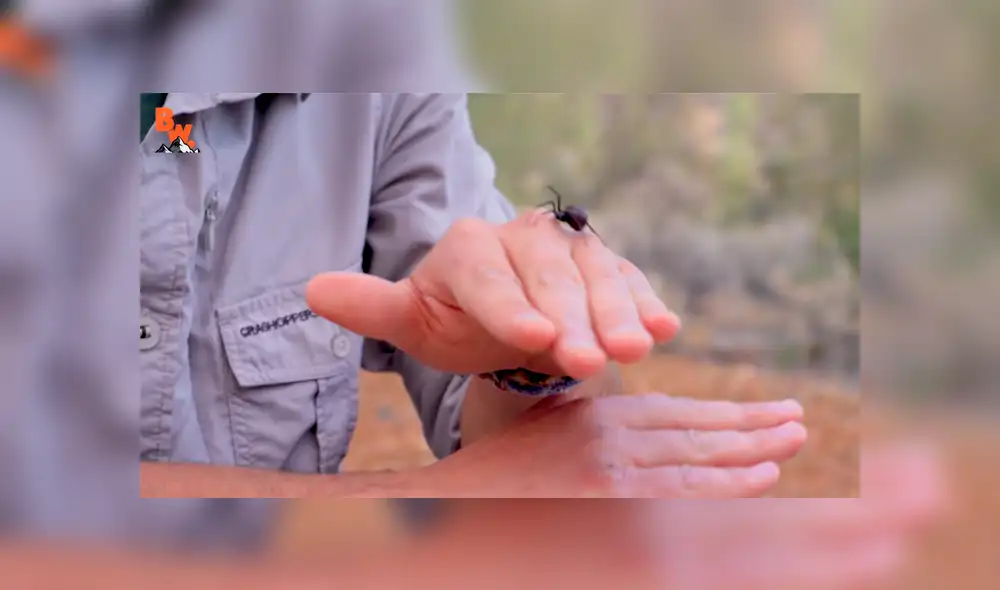 Desliza para ver los momentos más impactantes del aterrador video.