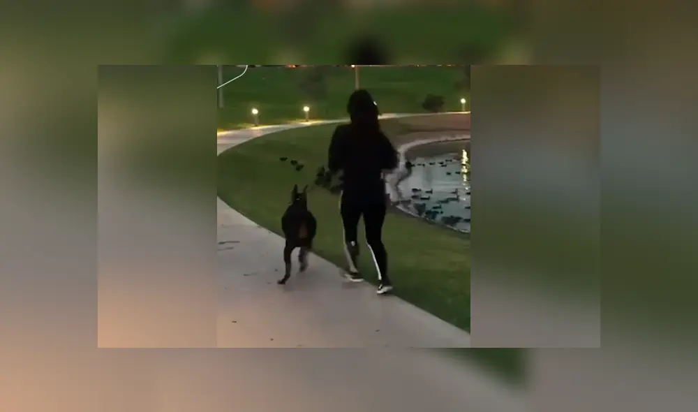 Desliza para ver los momentos más divertidos del video que se hizo viral en Facebook. Desliza para ver los momentos más divertidos del video que se hizo viral en Facebook.