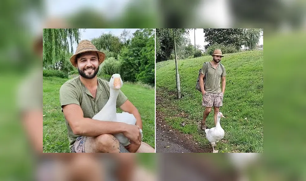 Un hombre incubó un huevo y ahora tiene un ganso de mascota. Foto: Facebook.