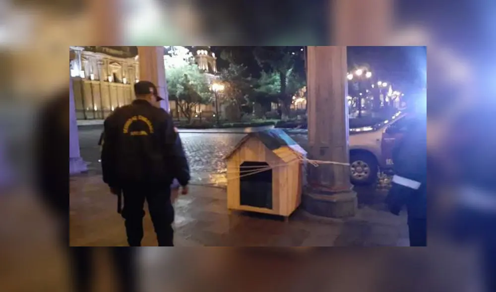 Propietario de can amarró su casa de madera en una columna para protegerlo de la lluvia Propietario de can amarró su casa de madera en una columna para protegerlo de la lluvia