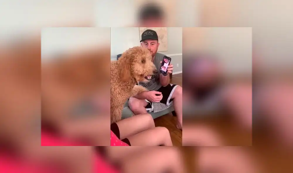 Desliza las imágenes para ver la emotiva reacción que tuvo un perro al escuchar la voz de sus dueños quienes fueron puestos en cuarentena. Foto: RM Videos Desliza las imágenes para ver la emotiva reacción que tuvo un perro al escuchar la voz de sus dueños quienes fueron puestos en cuarentena. Foto: RM Videos