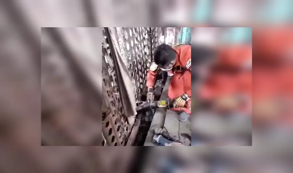 Desliza las imágenes para ver más de este rescate a dos perritos callejeros. (Foto: captura / YouTube)