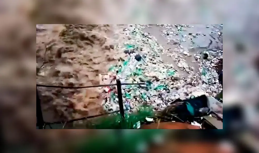 El video dejó constancia del grave problema que puede ocasionar el arrojo de botellas de plástico en los mares. Foto: captura de pantalla