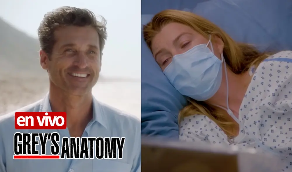 Derek y Meredith se reencontraron luego de 5 años en Grey's Anatomy. Foto: ABC