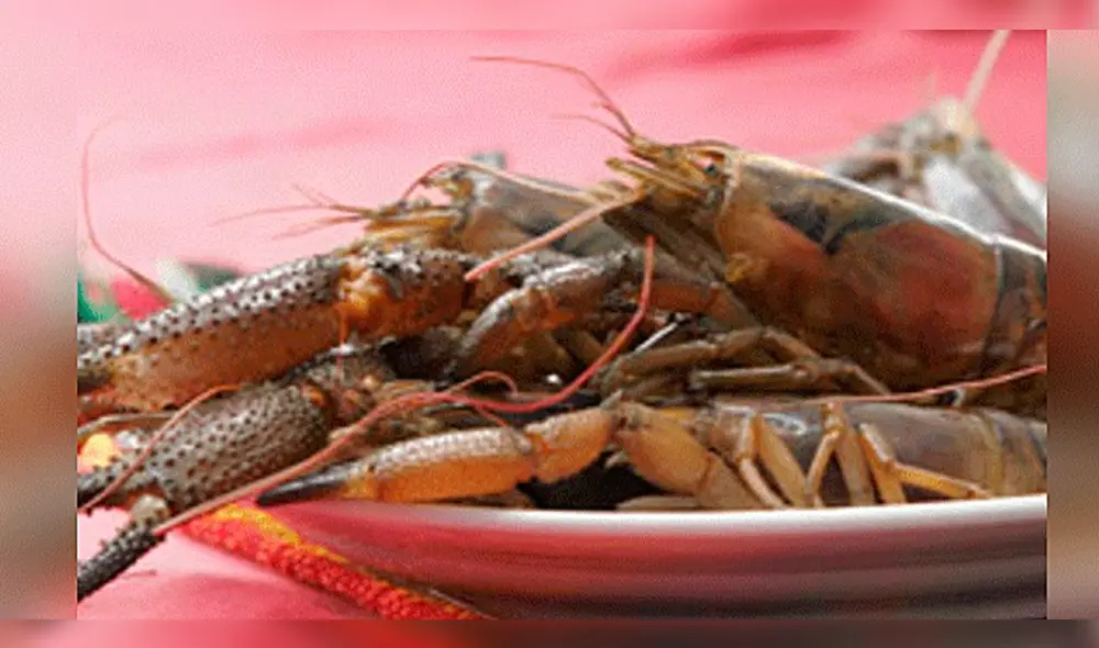 Desde el 2 de enero inicia la veda del camarón de río  