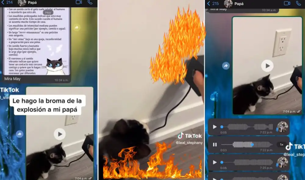 El clip ha logrado casi siete millones de visualizaciones en TikTok. Foto: composición LR/captura de TikTok/@leal_stephany