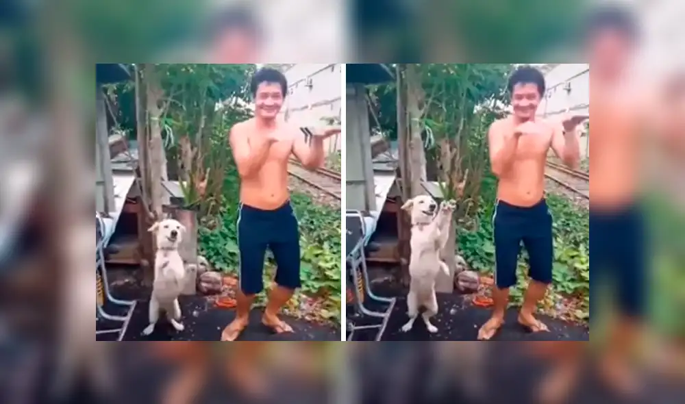 Desliza las imágenes hacia la izquierda para apreciar los pasos de bailar que realizó un perro junto a su dueño.